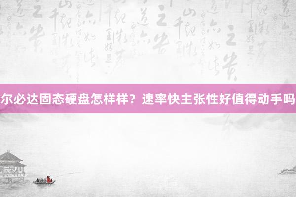 尔必达固态硬盘怎样样？速率快主张性好值得动手吗
